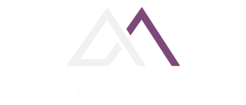 Okei & Co. .Leading advancement through Partnership & transparency.